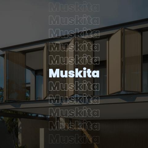 Muskita Web Development 