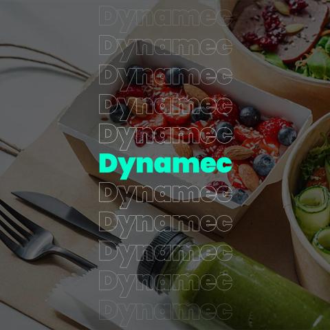 Dynamec Web Development 